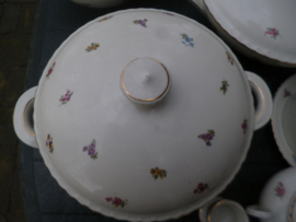 Dekschaal Winterling Marktleuthen Rosemary vol strooi bloemetjes oa. roze roosjes