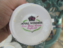 Engelse Kop en schotel Royal Windsor met okergele bloem en vogels
