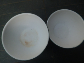 2 Nest schalen met boerenbont decor