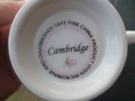 Cambridge Kop en schotel met roze roosjes