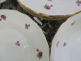 Diner servies H & C met roze/rode roosjes en bewerkt randje 6 persoons