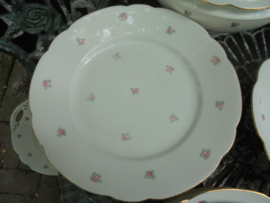 Dinerservies Johann Seltmann Vohenstrauss Elly enkele roze roosjes