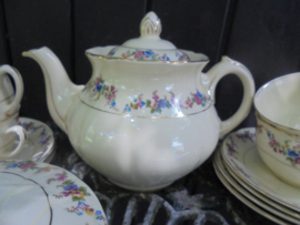 Theepot Plazuid (Holland) met lieve bloemetjes / roze roosjes en gouden bies
