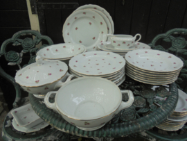 Dinerservies Rheinkrone Bavaria met roze/rode roosjes