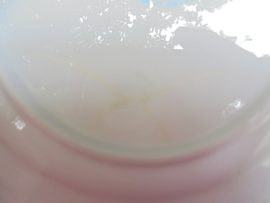 Gebakstel met licht blauwe rand en roze roosjes Old English J. & G.