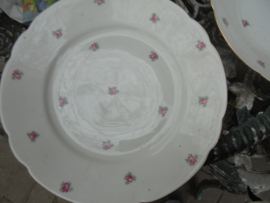 Dinerbord Johann Seltmann Vohenstrauss Elly met zachtroze roosjes