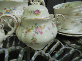 12 persoons Theeservies Hertel Jacob Bavaria met roze roosjes / bloemetjes guirlande