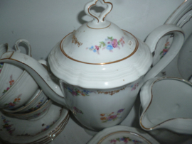 Koffieservies Marie Luise met bloemetjes/roze roosjes goudluster guirlandertjes