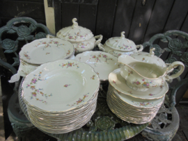 12 persoons Theeservies Hertel Jacob Bavaria met roze roosjes / bloemetjes guirlande