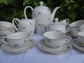 Koffieservies 10 personen vol met strooibloemetjes/roze roosjes