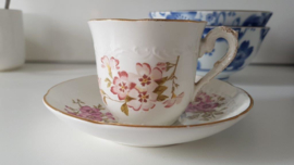 SCM Koffiepot met rose (appel) bloesem / bloemen