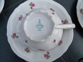 Koffieservies Bavaria Mitterteich met roze/rode roosjes 12 persoons