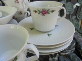 kop en schotel Winterling Marktleuthen met roze roosjes en groen takje