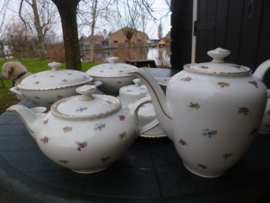Theeservies Winterling Marktleuthen Bavaria Rosemary vol strooibloemetjes