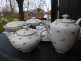 Koffiepot Winterling Marktleuthen Rosemary vol strooibloemetjes oa. roze roosjes