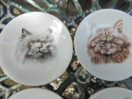 4 Petit fourbordjes met verschillende Katten afbeeldingen