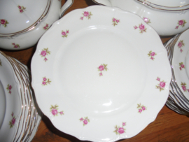 Dinerbord Wunsiedel met  roze/rode roosjes