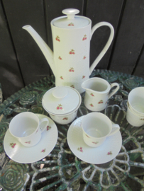 Koffiepot + roomstel Winterling Kirchenlamitz met roze/rode roosjes ZONDER gouden randje