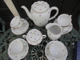 Koffieservies Johann Seltmann Vohenstrauss Bavaria Elly met zacht roze enkele roosjes