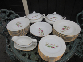 Dinerservies Schumann Arzberg met roze/rode wilde struikroos