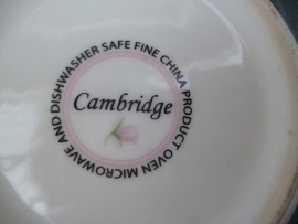 Diep bord Cambridge (Blokker) met zacht roze roosjes
