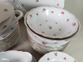Saladekom Winterling Marktleuthen Bavaria met roze roosjes
