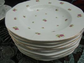 Art Deco Diep/Pastabord Victoria met roze roosjes