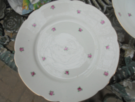 Dinerbord Johann Seltmann Vohenstrauss Elly met zachtroze roosjes