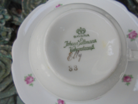 Koffieservies Johann Seltmann Vohenstrauss Bavaria Elly met zacht roze enkele roosjes