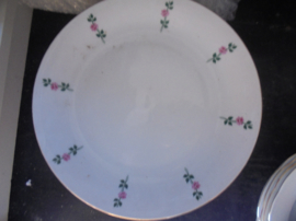 Dinerbord Seltmann Weiden met roze roosjes en een groen takje