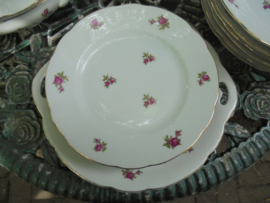 Gebakstel M S Czechoslovakia met roze roosjes
