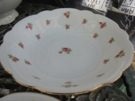 Kleinste maat kom Winterling Marktleuthen Bavaria met roze roosjes