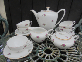 Koffieservies MZ met roze / rode roosjes 8 persoons