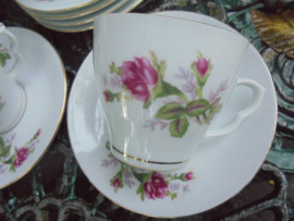 Koffie kop en schotel met wilde roze struik roos