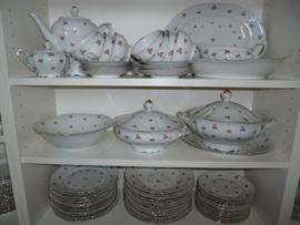 Dinerservies Mitterteich Bavaria met roze/rode roosjes