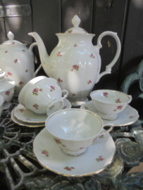 Romantische koffiepot Bareuther Bavaria met roze/rode roosjes