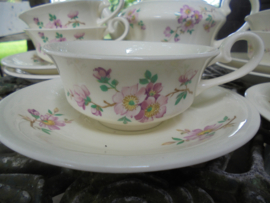 Theekop en schotel MOSA met roze Appelbloesem