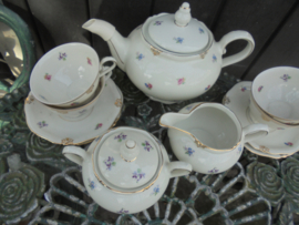 Theepot Bavaria W (Winterling) Windsor met kleine strooi bloemetjes / roze roosjes