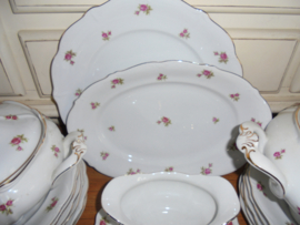 ZELDZAAM!! 6 persoons Dinerservies Wunsiedel met  roze/rode roosjes