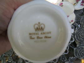 Engelse Kop en schotel met roze roosjes Royal Ascot