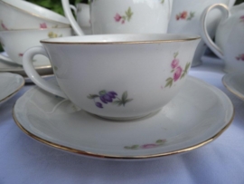 Koffieservies 10 personen vol met strooibloemetjes/roze roosjes