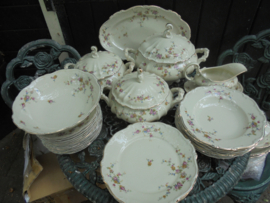 Theeservies Hertel Jacob met bloemetjes guirlandertjes met oa. roze roosjes