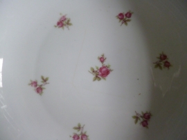 Diepe ronde schaal/Saladeschaal Marie Luise Bavaria met roze/rode roosjes