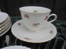 Koffie Kop en schotel Winterling Marktleuthen Bavaria (Rosemary) vol strooi bloemetjes