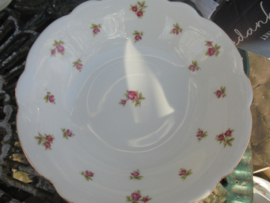 Kleinste maat kom Winterling Marktleuthen Bavaria met roze roosjes