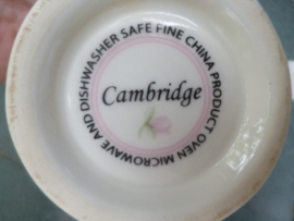 Bonbonniere Cambridge met zacht roze roosjes