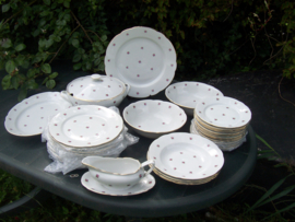 Dinerservies MAGVAM Elly met roze roosjes (bijna compleet..)
