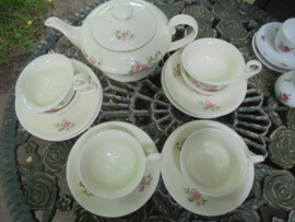 Theepot MOSA met roze Appelbloesem