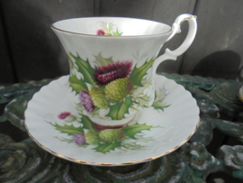 Royal Albert Kop en schotel Highland Thistle met roze / paarse distel