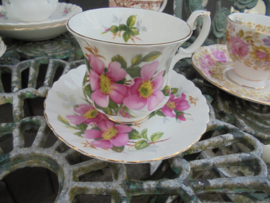 Royal Albert Dames Kop en schotel Prairie Rose met roze bloemen